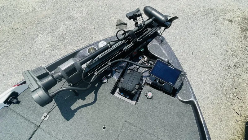 Slide: The Image of Bass Cat Caracal 2021 - 4