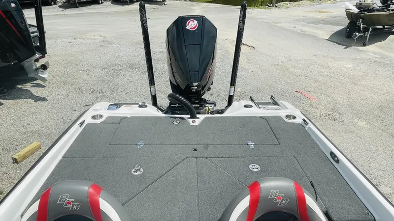 Slide: The Image of Bass Cat Caracal 2021 - 6