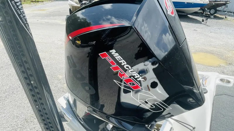 Slide: The Image of Bass Cat Caracal 2021 - 7