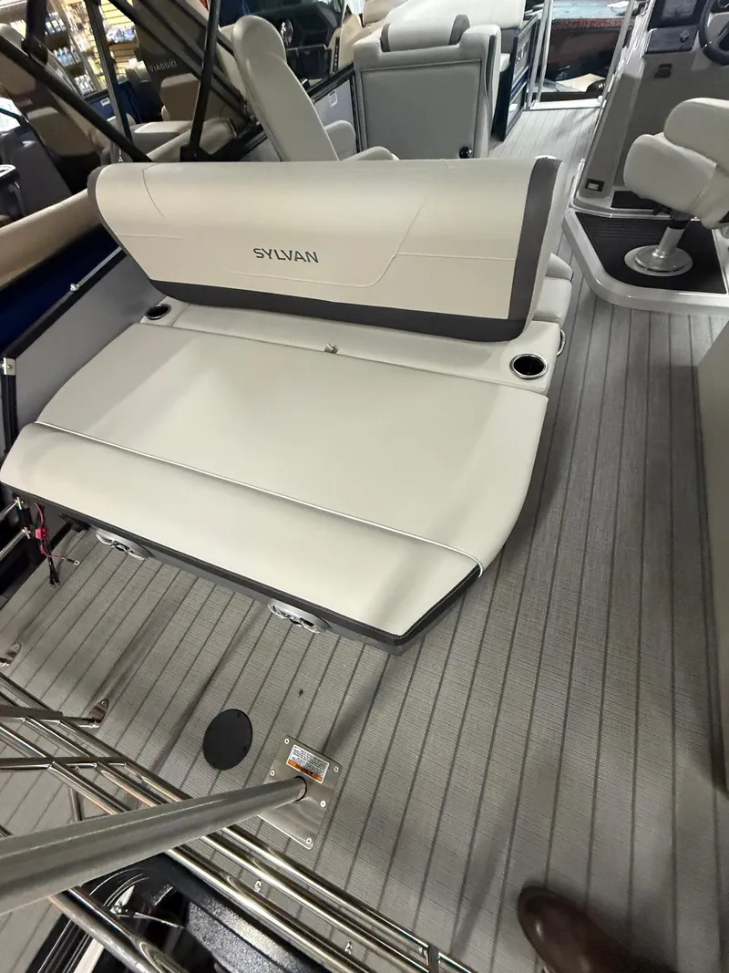 Slide: The Image of Sylvan X-1 CLZ DH 2025 - 10