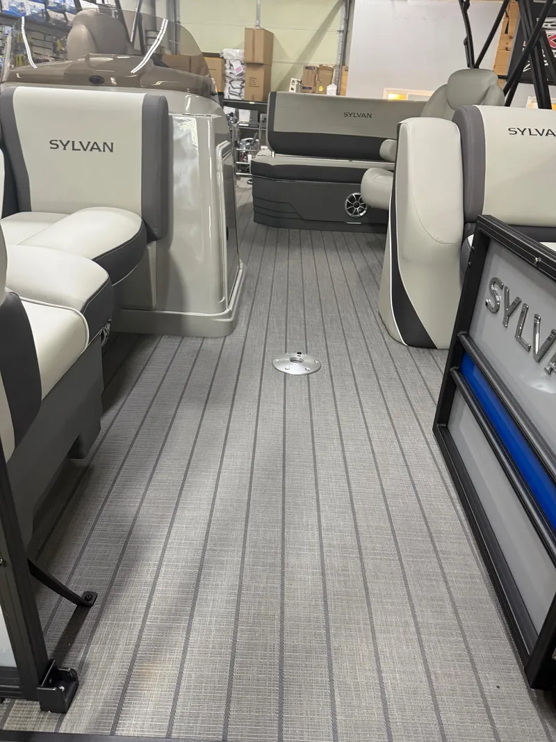 Slide: The Image of Sylvan X-1 CLZ DH 2025 - 5