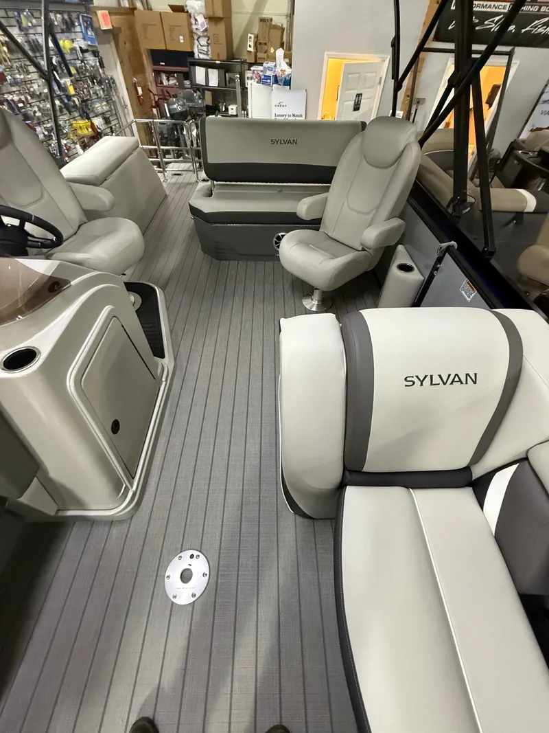 Slide: The Image of Sylvan X-1 CLZ DH 2025 - 6