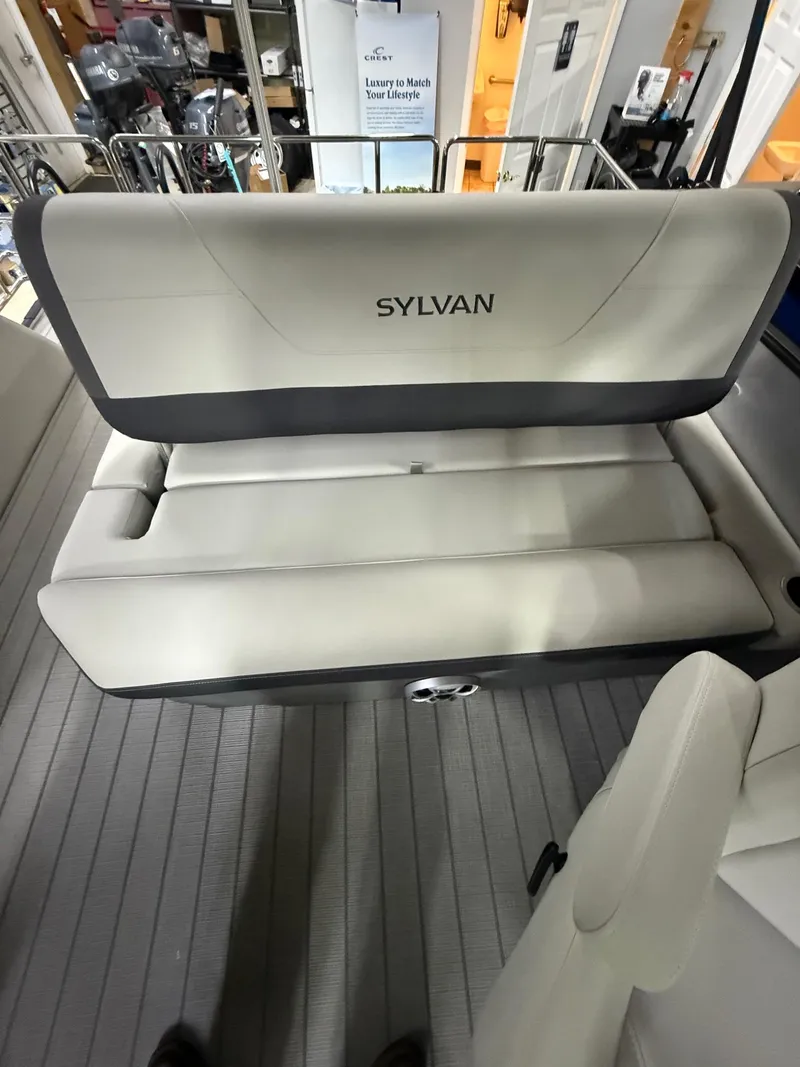 Slide: The Image of Sylvan X-1 CLZ DH 2025 - 9