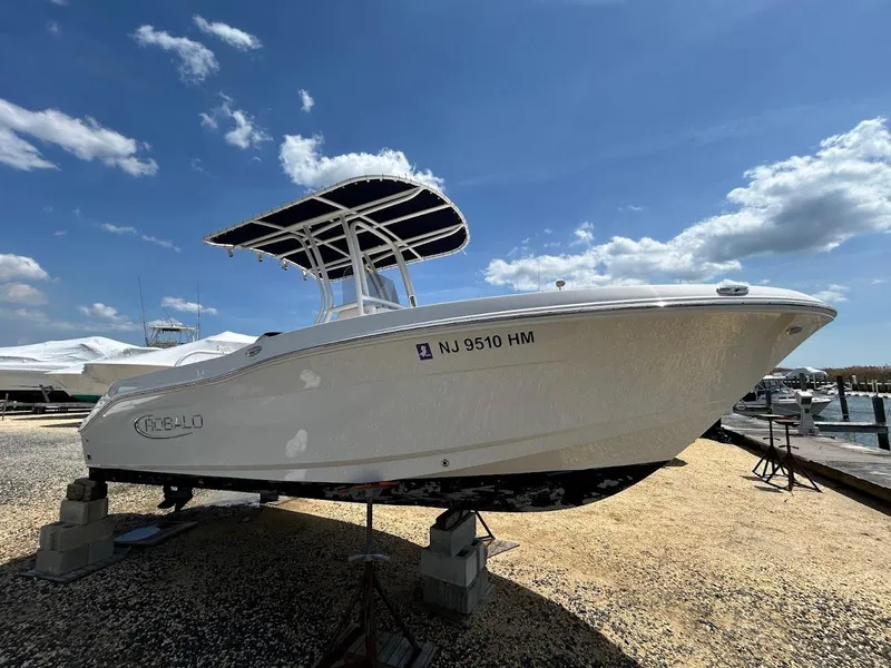 Slide: The Image of 2019 Robalo R202EX boat on display under a clear blue sky. - 2