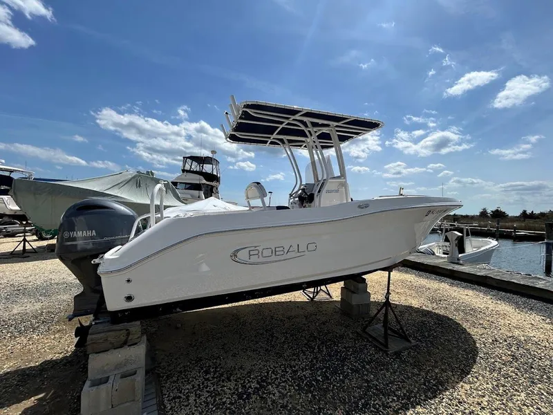 Slide: The Image of 2019 Robalo R202EX boat on display under a clear blue sky. - 3