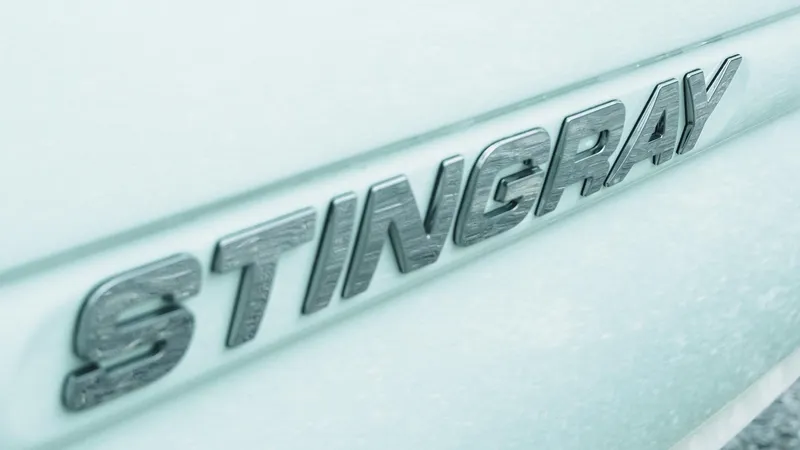 Slide: The Image of Close-up of 2019 Stingray 206 CC logo on vehicle surface. - 12