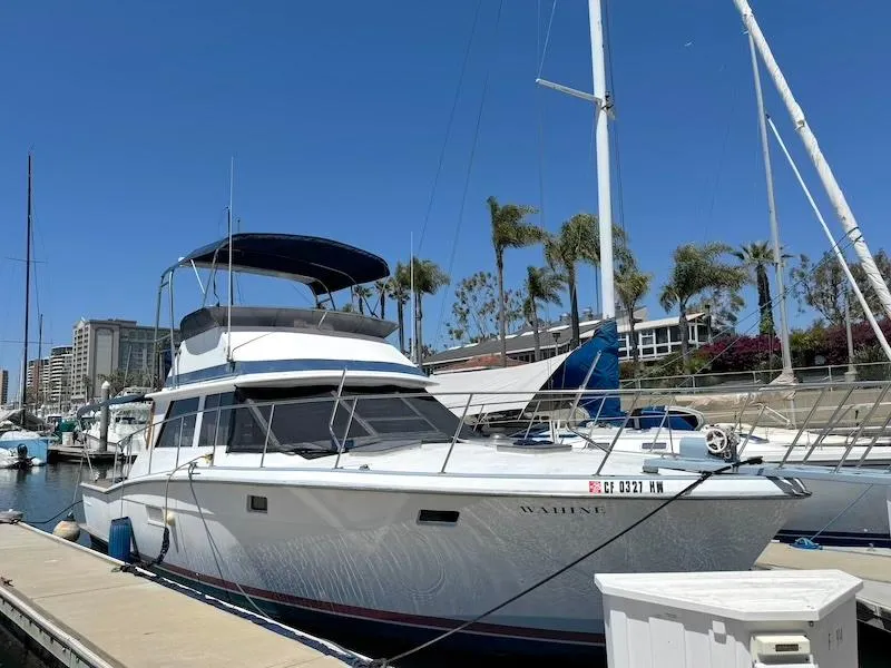 The Image of 1972 Trojan 36 yacht docked in marina, clear blue sky, palm trees in background. - 0