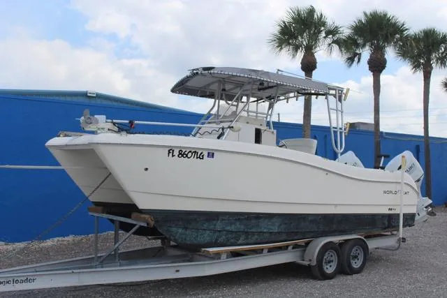 Slide: The Image of World Cat 246 SF 1999 - 1