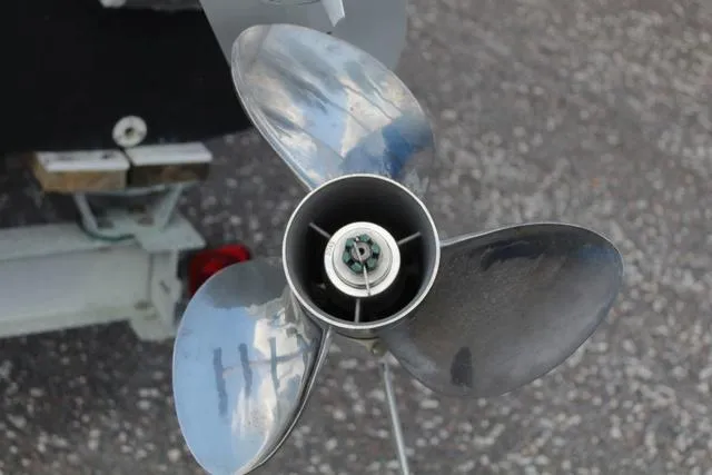 Slide: The Image of World Cat 246 SF 1999 - 13