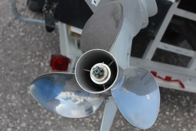 Slide: The Image of World Cat 246 SF 1999 - 14