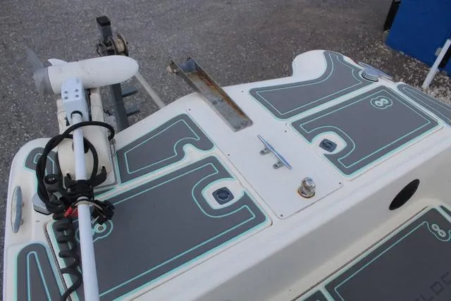 Slide: The Image of World Cat 246 SF 1999 - 16