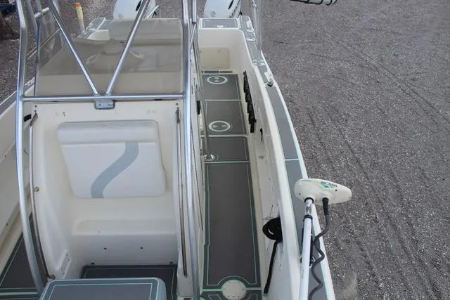 Slide: The Image of World Cat 246 SF 1999 - 19