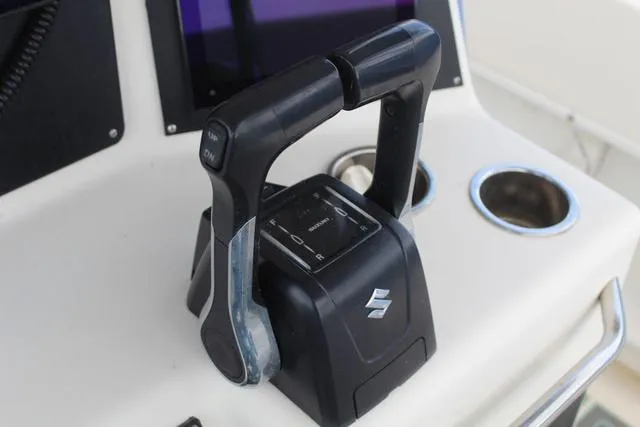 Slide: The Image of World Cat 246 SF 1999 - 25