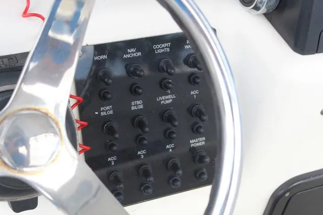 Slide: The Image of World Cat 246 SF 1999 - 26