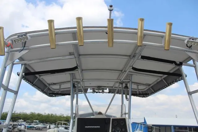 Slide: The Image of World Cat 246 SF 1999 - 30