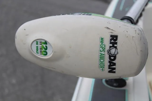 Slide: The Image of World Cat 246 SF 1999 - 31