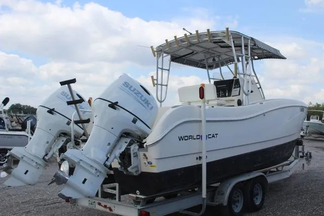 Slide: The Image of World Cat 246 SF 1999 - 4