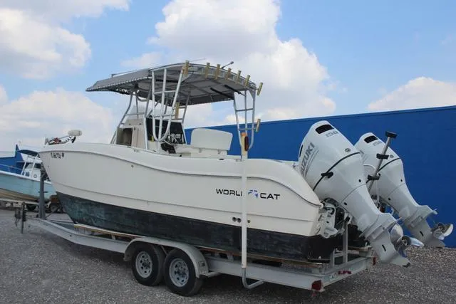 Slide: The Image of World Cat 246 SF 1999 - 6