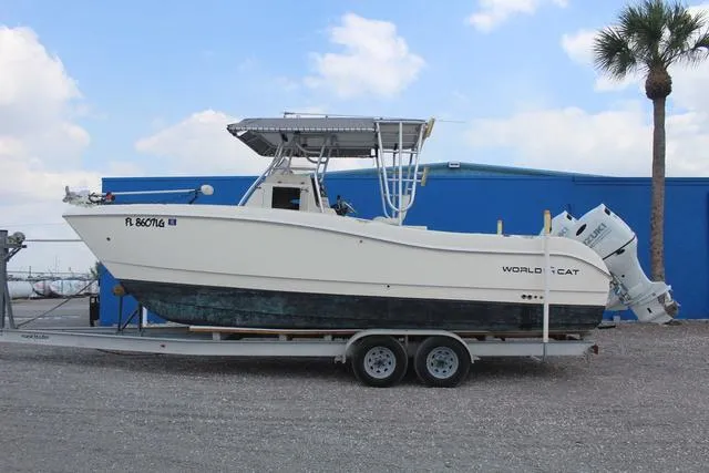 Slide: The Image of World Cat 246 SF 1999 - 7