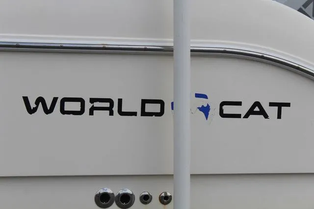 Slide: The Image of World Cat 246 SF 1999 - 8