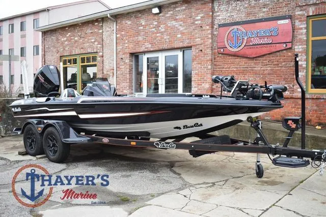 Slide: The Image of Bass Cat Eyra 2025 - 1