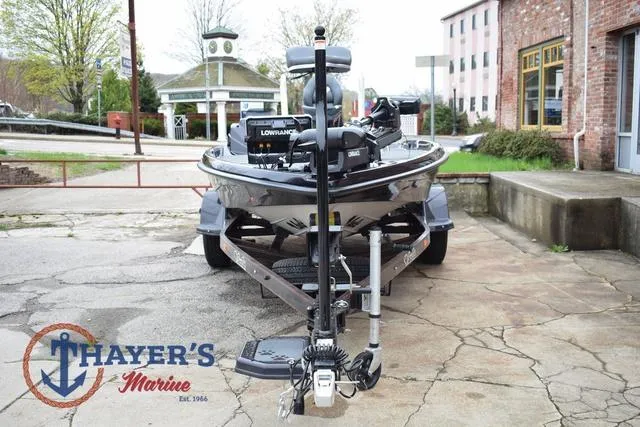 Slide: The Image of Bass Cat Eyra 2025 - 10