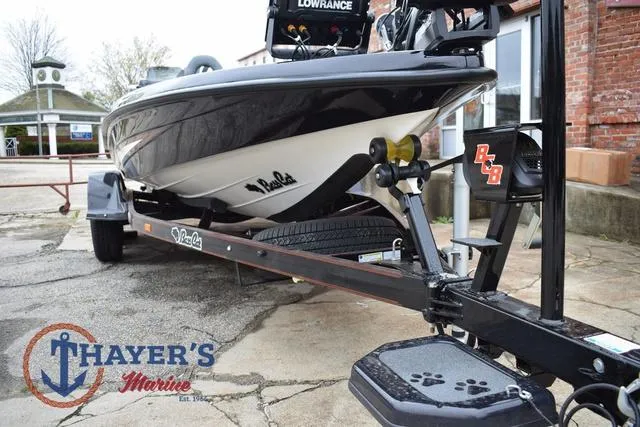 Slide: The Image of Bass Cat Eyra 2025 - 11