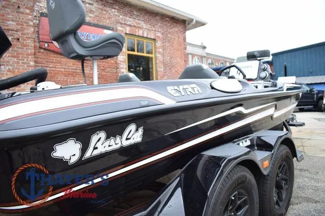 Slide: The Image of Bass Cat Eyra 2025 - 12