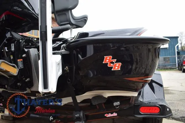 Slide: The Image of Bass Cat Eyra 2025 - 13