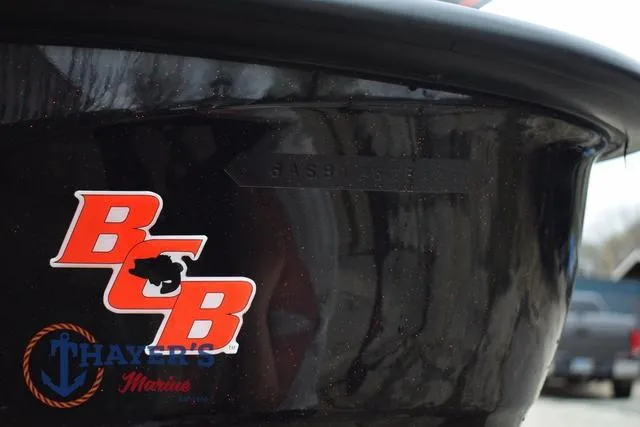 Slide: The Image of Bass Cat Eyra 2025 - 14