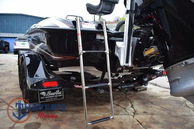 Slide: The Image of Bass Cat Eyra 2025 - 15