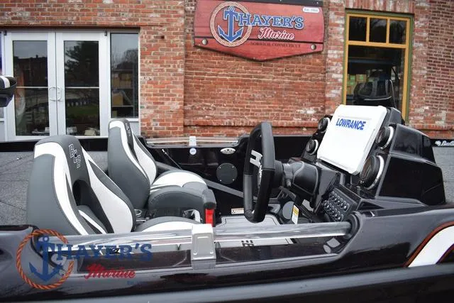 Slide: The Image of Bass Cat Eyra 2025 - 17