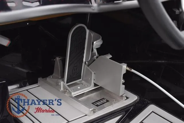 Slide: The Image of Bass Cat Eyra 2025 - 23