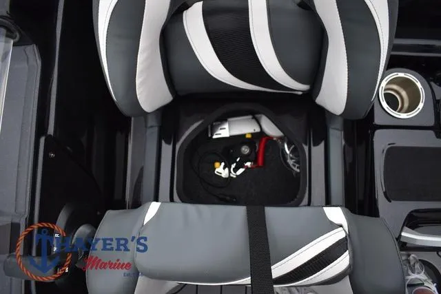 Slide: The Image of Bass Cat Eyra 2025 - 27