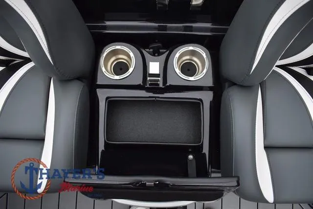 Slide: The Image of Bass Cat Eyra 2025 - 29