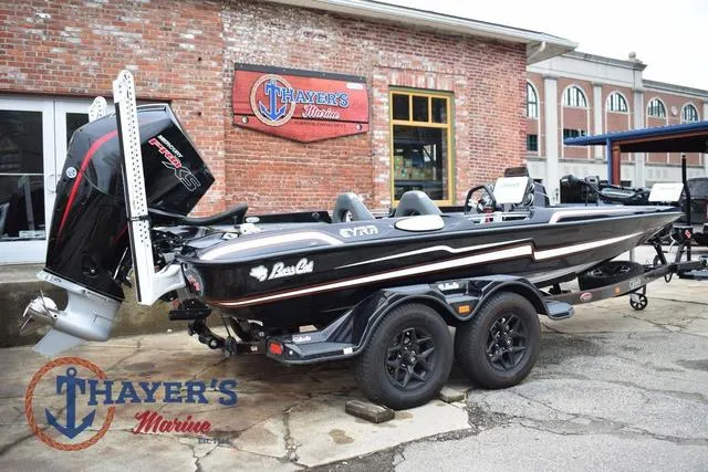 Slide: The Image of Bass Cat Eyra 2025 - 3