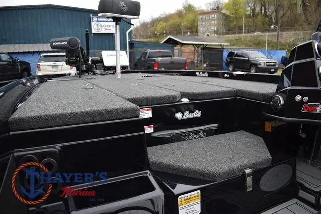 Slide: The Image of Bass Cat Eyra 2025 - 30