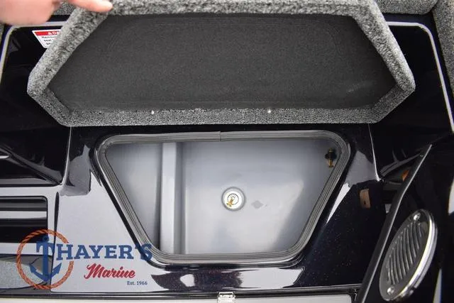 Slide: The Image of Bass Cat Eyra 2025 - 31