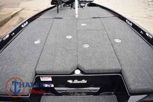 Slide: The Image of Bass Cat Eyra 2025 - 32