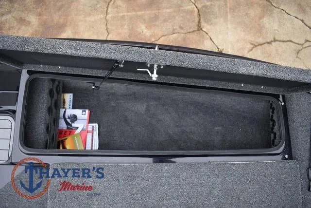 Slide: The Image of Bass Cat Eyra 2025 - 33