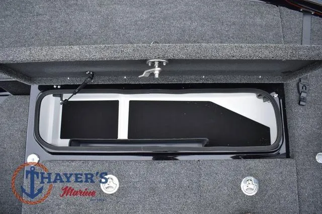 Slide: The Image of Bass Cat Eyra 2025 - 34