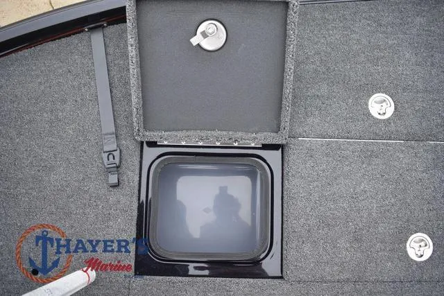 Slide: The Image of Bass Cat Eyra 2025 - 35