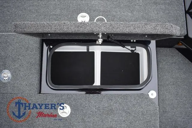 Slide: The Image of Bass Cat Eyra 2025 - 36