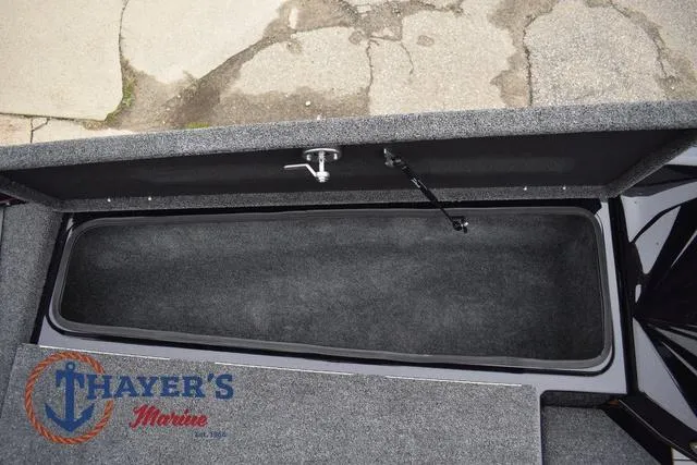 Slide: The Image of Bass Cat Eyra 2025 - 37