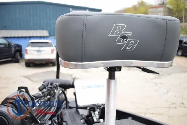 Slide: The Image of Bass Cat Eyra 2025 - 38