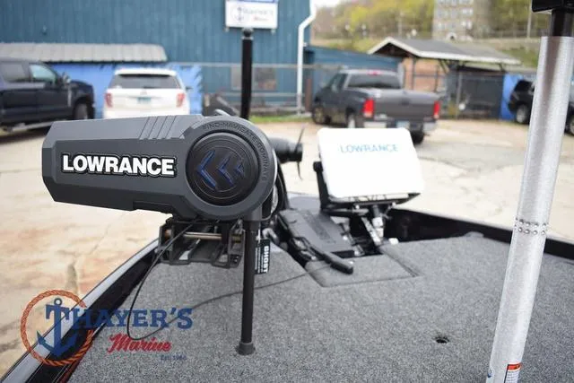 Slide: The Image of Bass Cat Eyra 2025 - 39