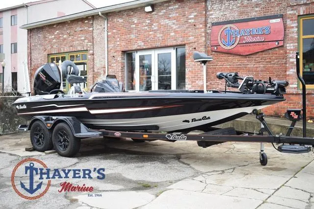 Slide: The Image of Bass Cat Eyra 2025 - 4