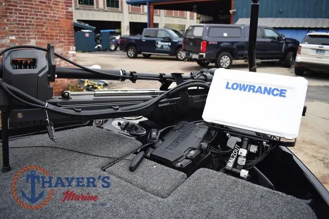 Slide: The Image of Bass Cat Eyra 2025 - 40