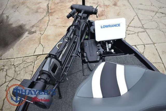 Slide: The Image of Bass Cat Eyra 2025 - 41