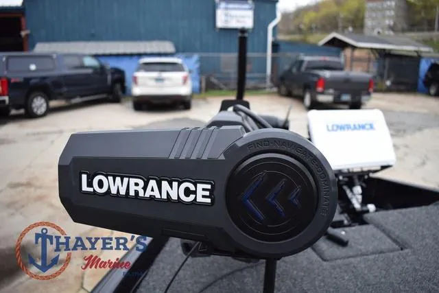 Slide: The Image of Bass Cat Eyra 2025 - 42